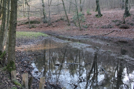 Borbachtal am 2. Februar 2014 (eigenes Foto) Die mit Schwermetallen belasteten Sedimente sollen verbleiben. Borbachtal am 2. Februar 2014 (eigenes Foto) Die mit Schwermetallen belasteten Sedimente sollen verbleiben.