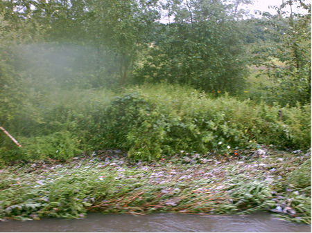 Verschmutztes Grotenbachufer Verschmutztes Grotenbachufer