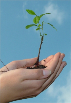 Wir sollten uns nicht an verschiedenen Fronten der Umweltarbeit zersplittern, sondern die Kräfte zusam-menschließen, gegen einen gemeinsamen Gegner. - Foto: Susanne Richter - pixelio.de